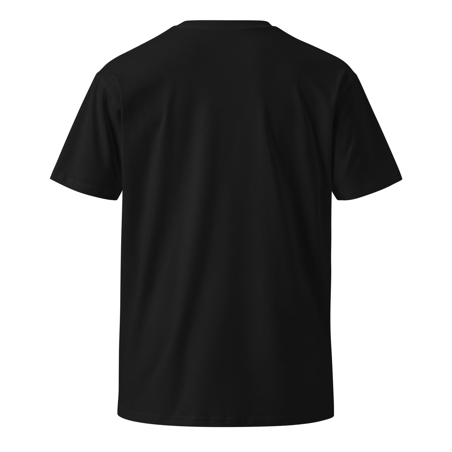 Viking Head Armor premium t-shirt