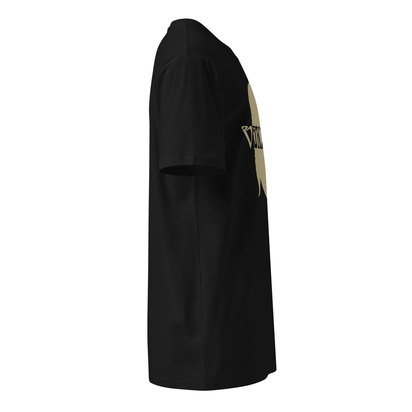 Viking Head Armor premium t-shirt