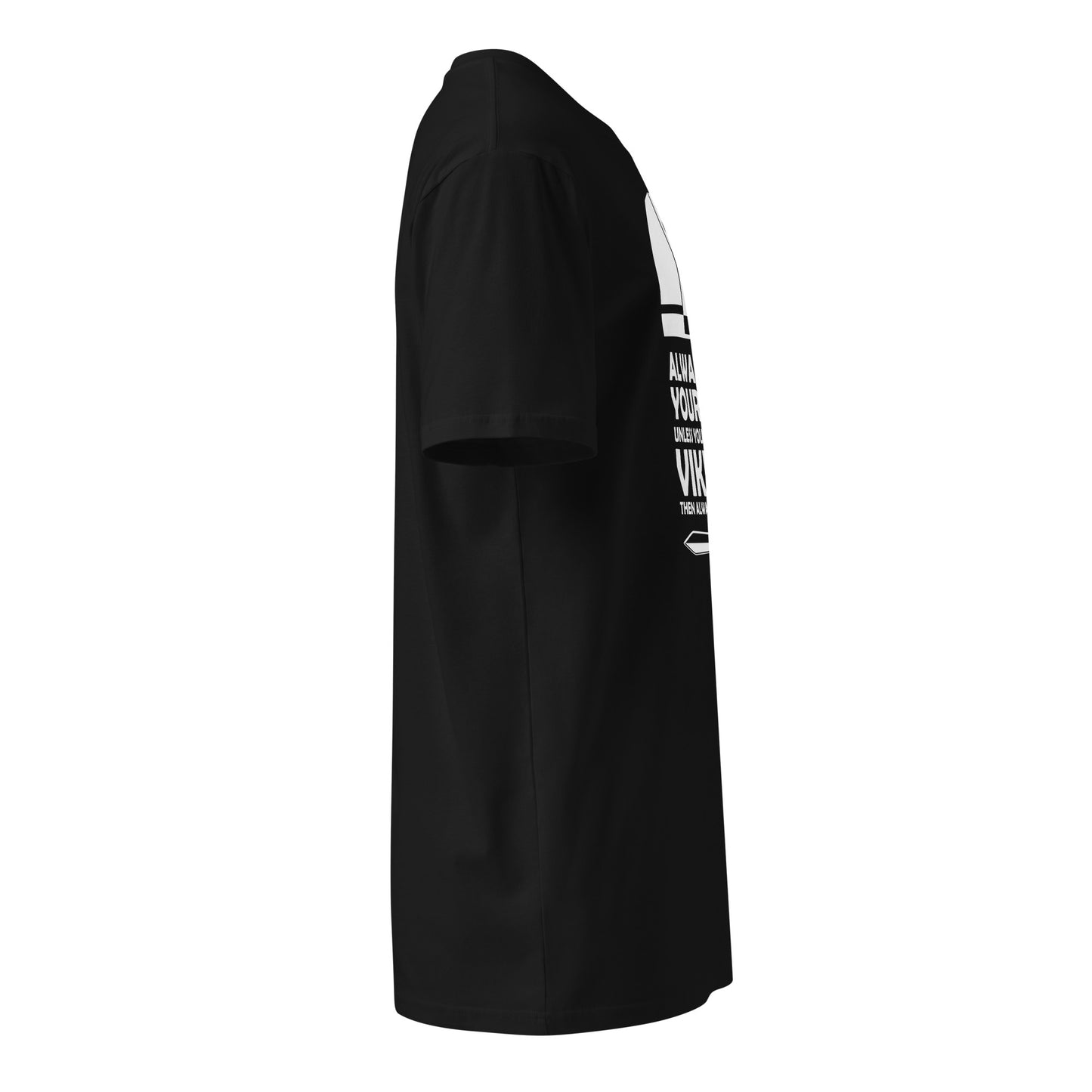 Always be Yourself, Unless You can be a Viking premium t-shirt