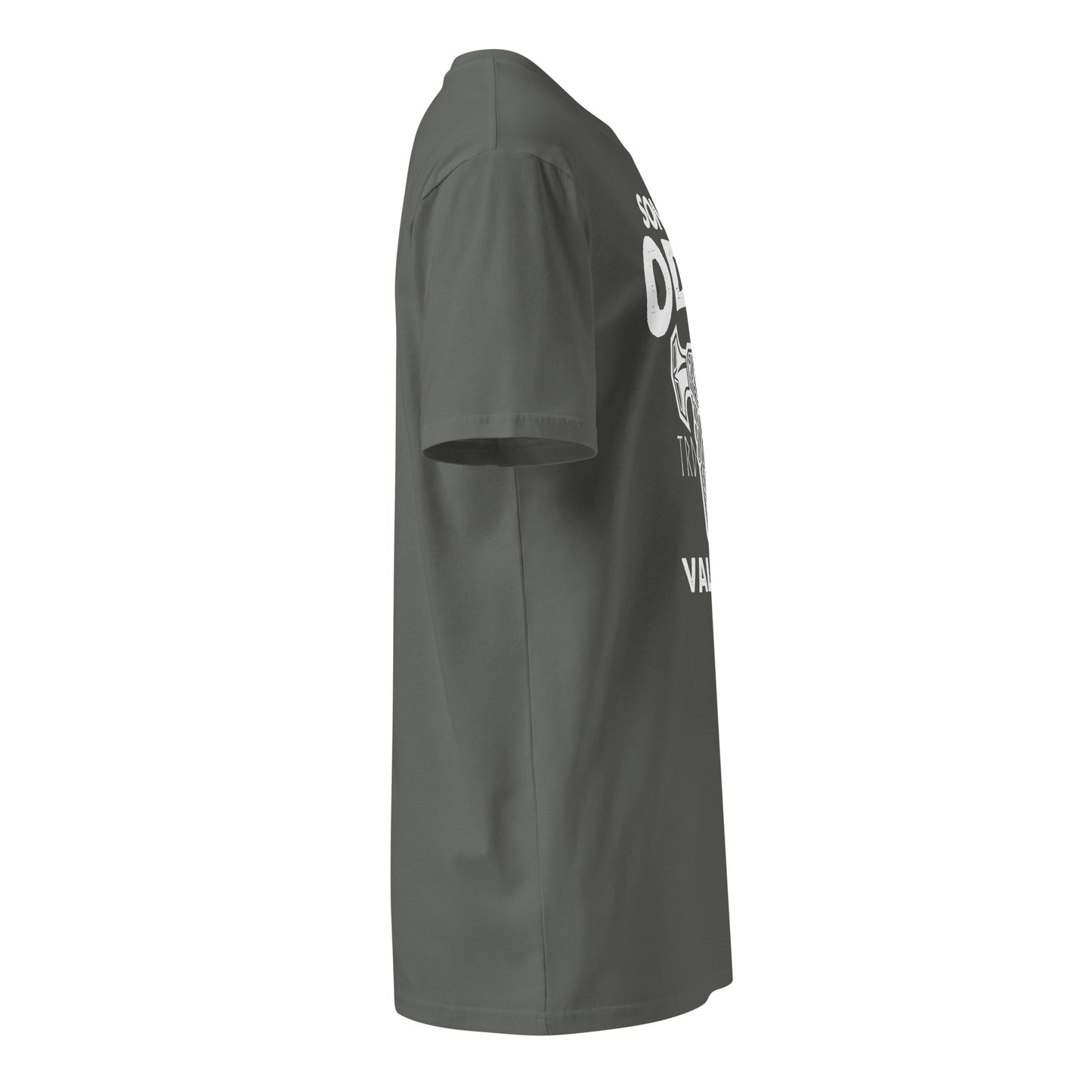 Sons of Odin premium t-shirt