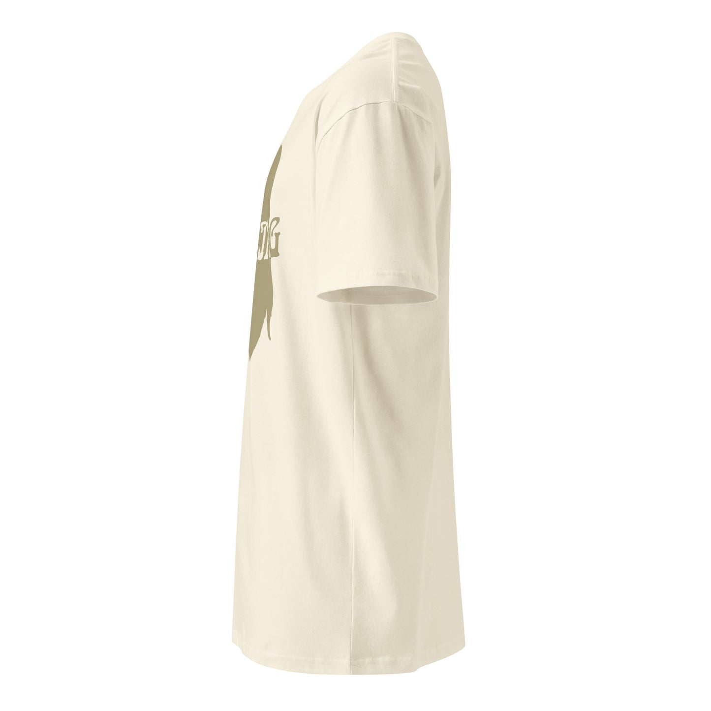 Viking Head Armor premium t-shirt