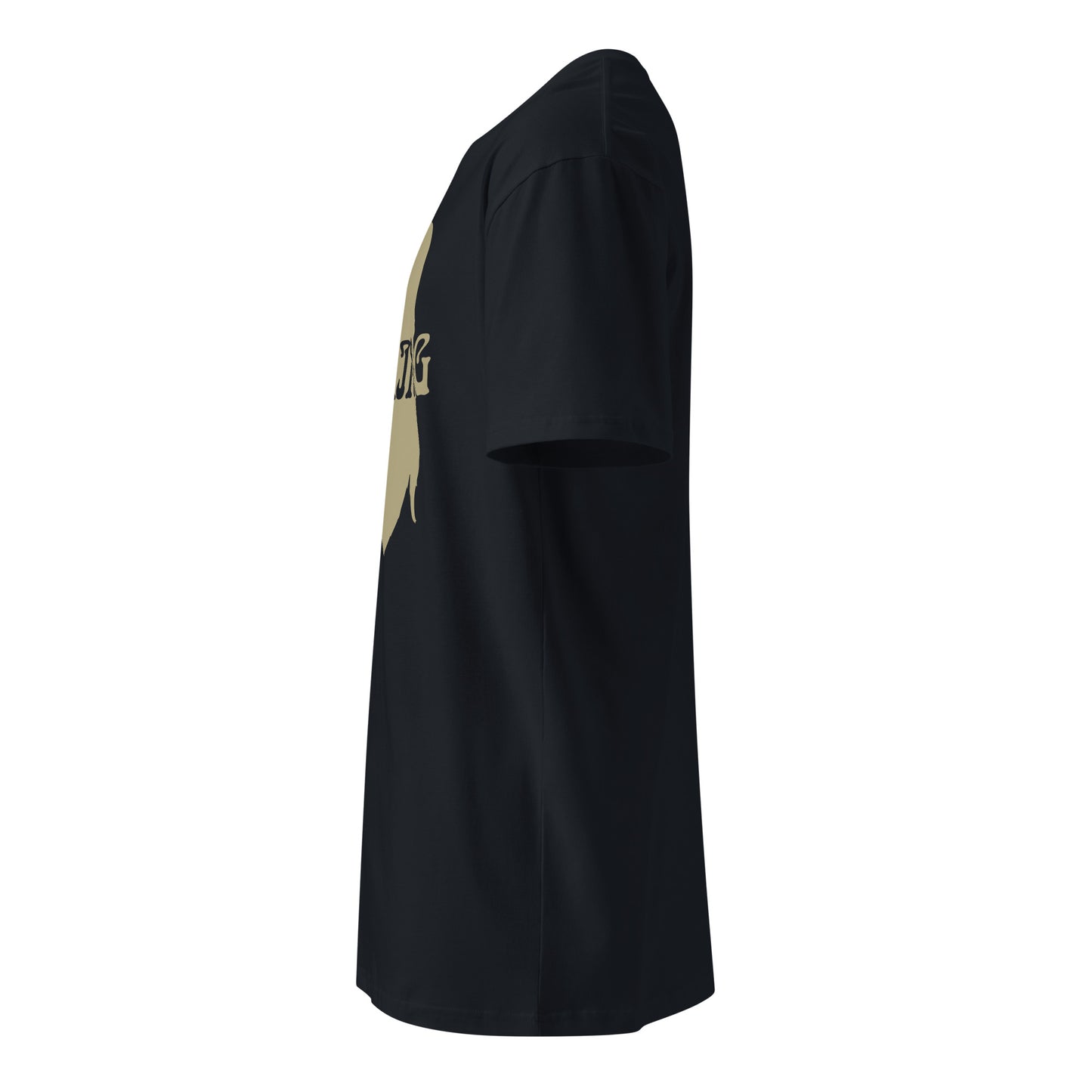 Viking Head Armor premium t-shirt