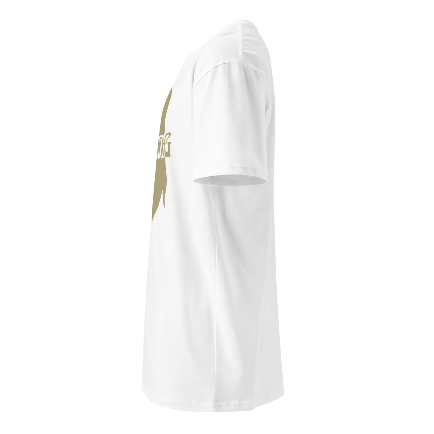 Viking Head Armor premium t-shirt