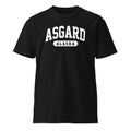 Asgard Alaska Premium t-shirt
