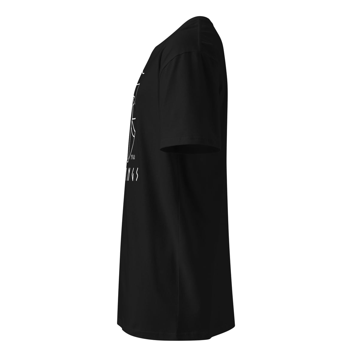 Vikings Boat premium t-shirt