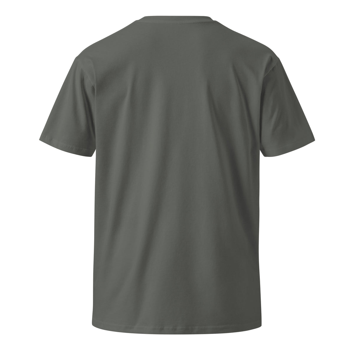 Vikings Boat premium t-shirt
