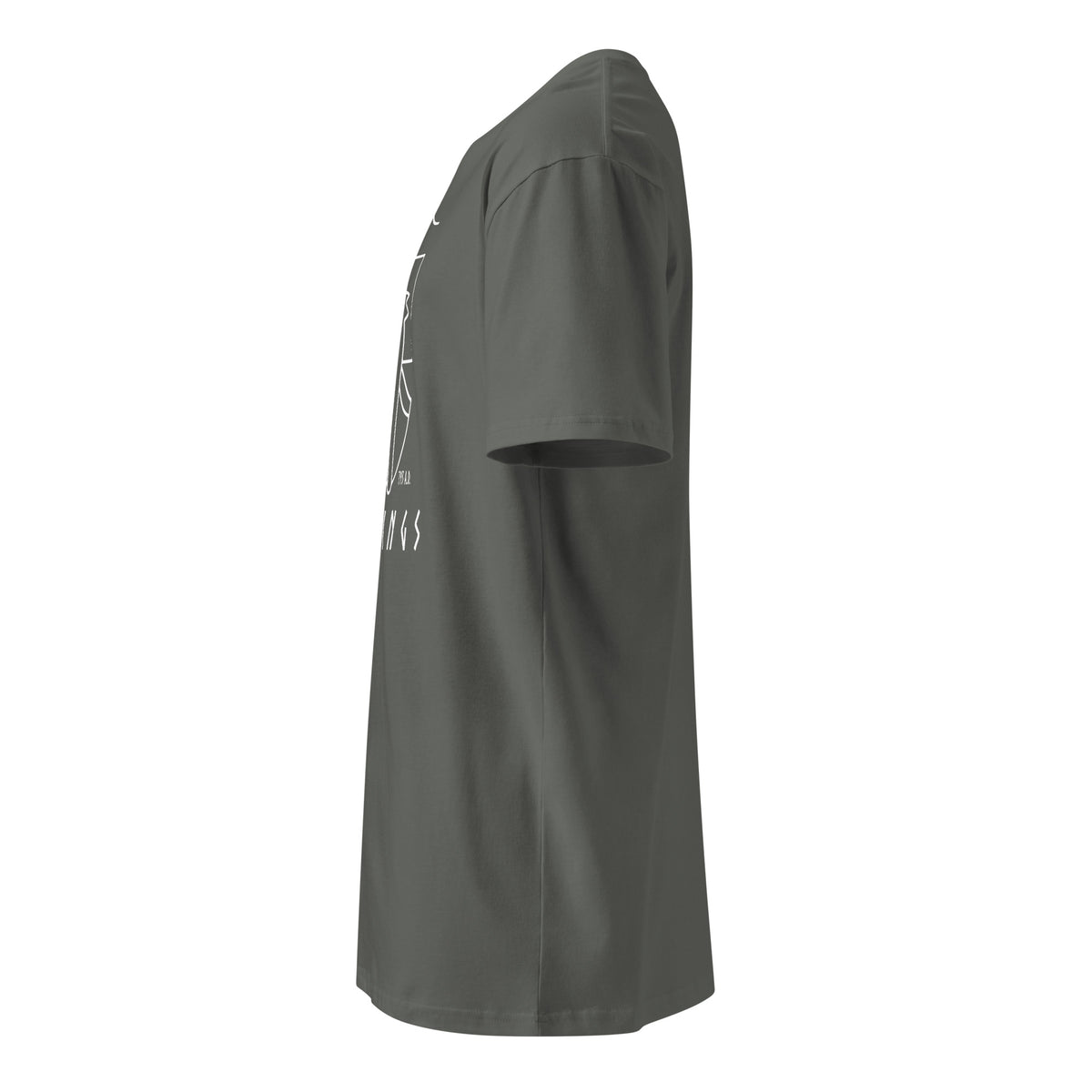 Vikings Boat premium t-shirt