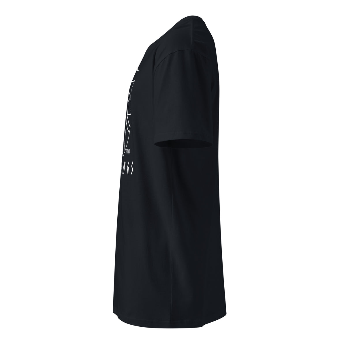 Vikings Boat premium t-shirt